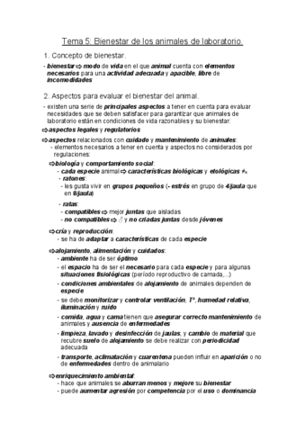MyBAE-Tema-5.pdf