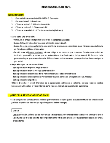 RESPONSABILIDAD-CIVIL-gaston-fernandez.pdf