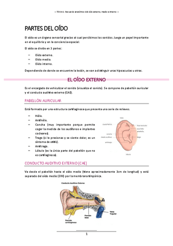 T.1 - ALT. AUDICION.pdf