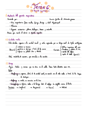 Apuntes-Anatomia-T6.pdf
