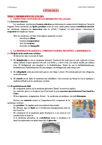 Apunts-citologia.pdf
