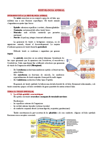 Apunts-histologia-animal.pdf