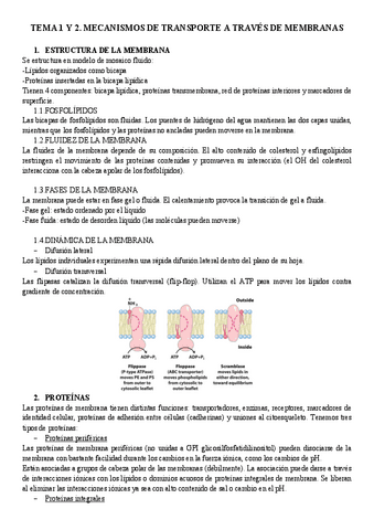 Tema-1-y-2.-Membrana.pdf