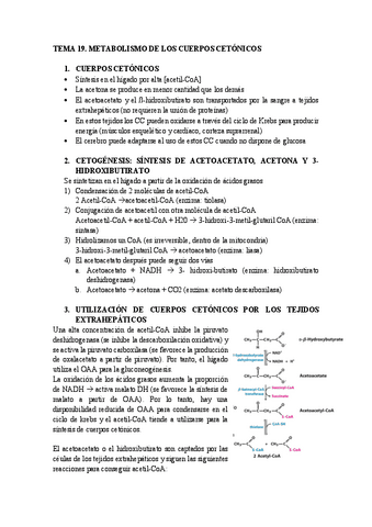 Tema-19.-Metabolismo-de-los-cuerpos-cetonicos.pdf