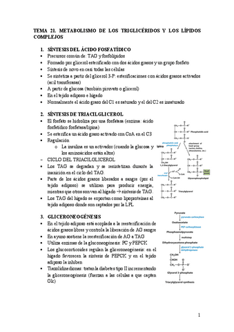 Tema-21.-Metabolismo-de-lipidos-complejos.pdf