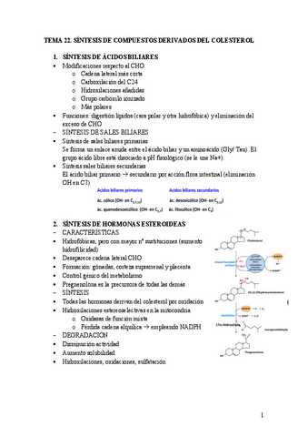 Tema-23.-Sintesis-de-compuestos-derivados-del-colesterol.pdf