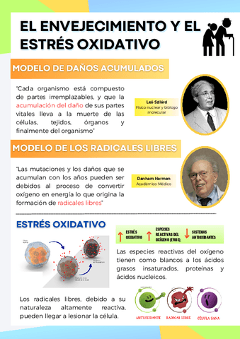 Envejecimiento-m-radicales.pdf