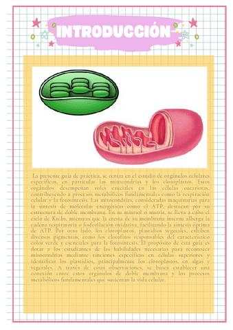 S7-Mitocondrias.pdf