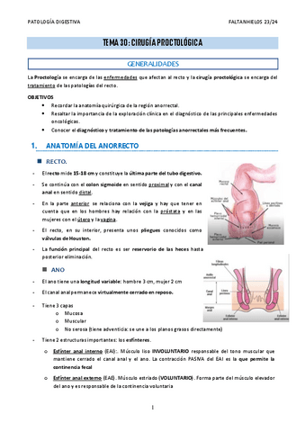 30.-Cirugia-proctologica.pdf