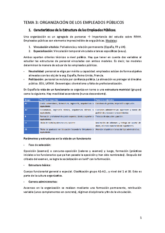 TEMA-3.pdf