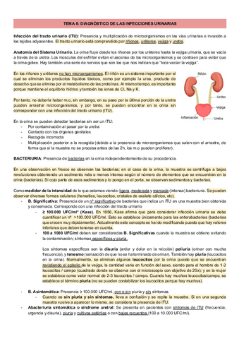 TEMA-6-DIAGNOSTICO-DE-LAS-INFECCIONES-URINARIAS.pdf