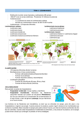TEMA-3-LEISHMANIOSIS.pdf