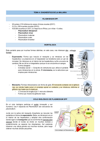 TEMA-4-DIAGNOSTICO-DE-LA-MALARIA.pdf