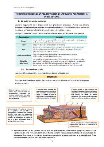 U3-Cuidados-de-la-piel.-Prevencion-de-UPP.pdf