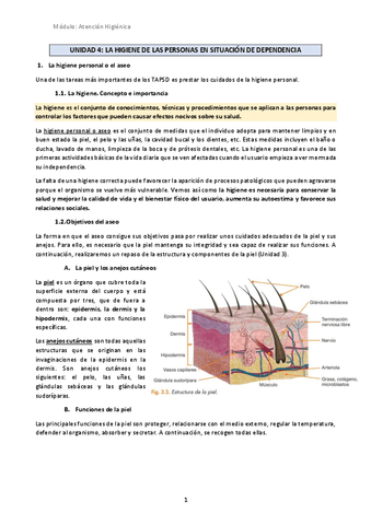 U4-La-higiene-de-las-personas-dependientes.pdf