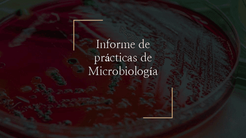 Informe-practicas-microbiologia-1.pdf