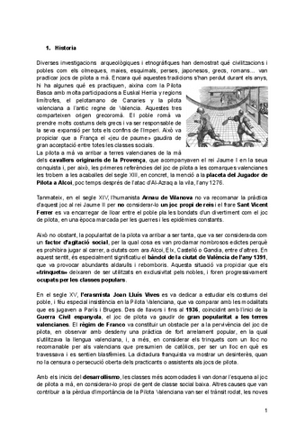 Resum-Pilota-Valenciana.pdf.pdf