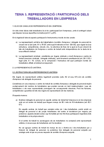 Apunts-REPRESENTACIO-I-PARTICIPACIO-DELS-TREBALLADORS-EN-LEMPRESA.pdf