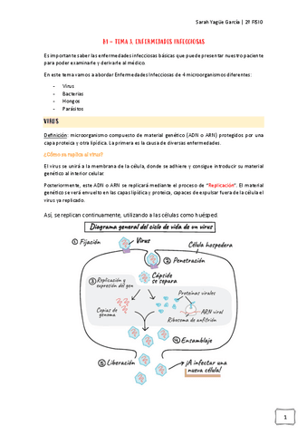 Afecciones-MQ-I-B1.-Tema-3-Enfermedades-Infecciosas.pdf