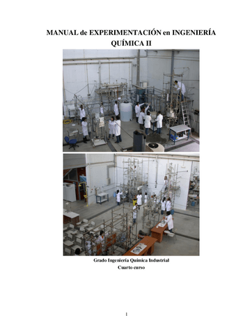 manual-experimentacion-ingenieria-quimica-II2018-19.pdf