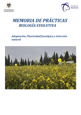 Memoria-practicas- (Nota : 9).pdf