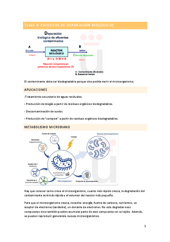 Tema-9.-Procesos-de-depuracion-biologicos.pdf