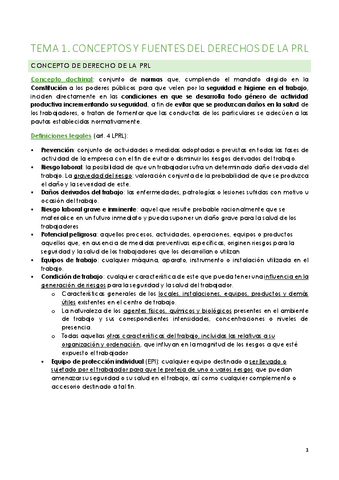 tema-1-riesgos-laborales.pdf