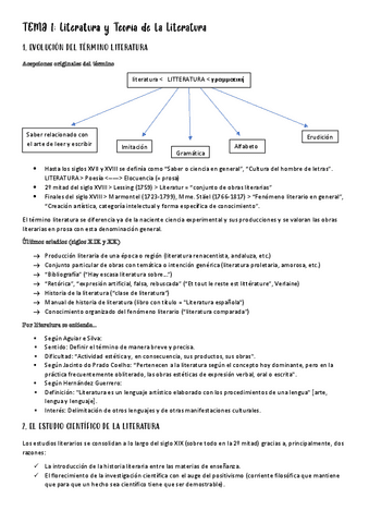 TEMA-1-LITERATURA.pdf