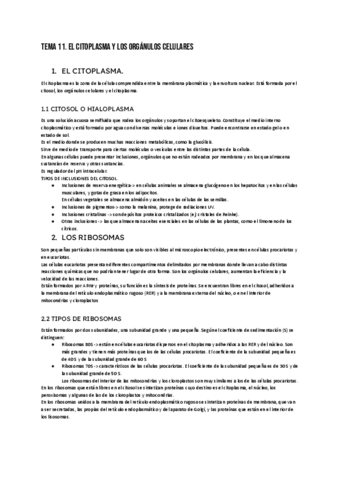 Biologia-Citoplasma-y-Organulos.pdf