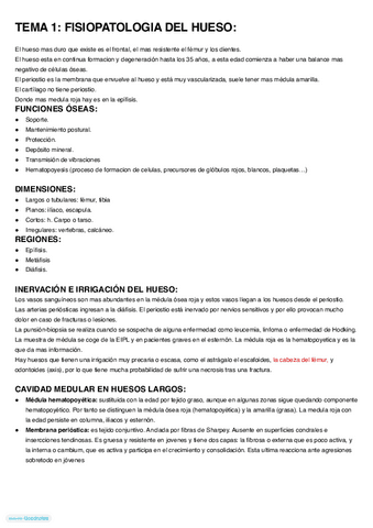 Tema-1.-Resumen.pdf