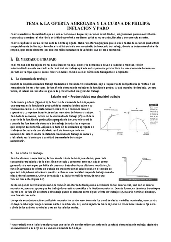 Tema-6..pdf