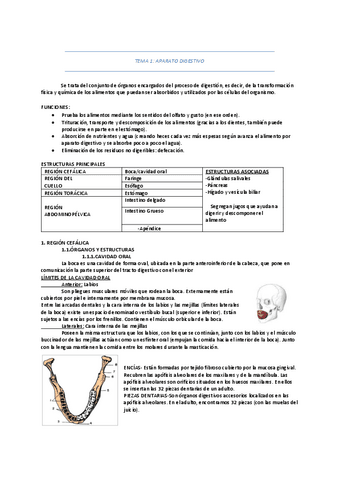 ANATOMIA-TODO.pdf
