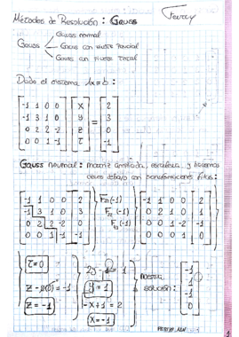Álgebra TODOS LOS MÉTODOS DE RESOLUCIÓN ALN Explicados con Ejemplos.pdf