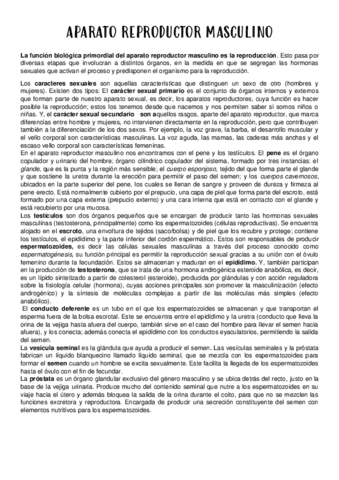 APARATO-REPRODUCTOR-MASCULINO.pdf