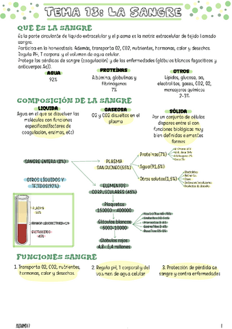 tema-13-la-sangre.pdf