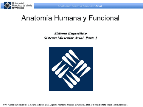 Sistema-Muscular-Axial-parte-1.pdf