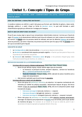 unitat-1-Grups.pdf