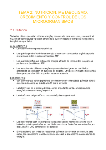 Tema2-nutricion-metabolismo.pdf