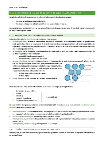 TEMA-3.pdf