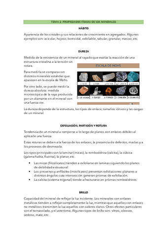 Tema-2-apuntes.pdf