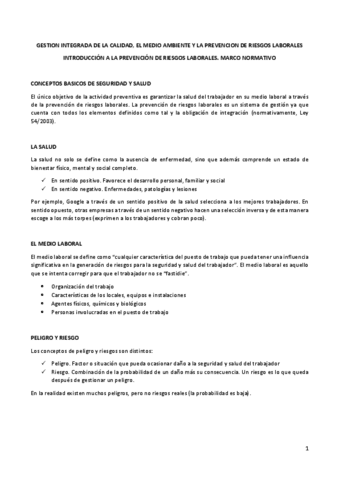 TEMA-PREVENCION-DE-RIESGOS-LABORALES.pdf