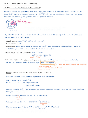 Tema-2-Optimizacion-con-ligaduras.pdf
