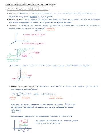 Tema-4-Calculo-Variacional.pdf