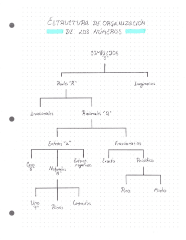 Estructura-de-organizacion-de-los-numeros.pdf