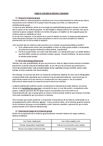 TEMA-3-VIOLENCIA-GRUPAL.pdf