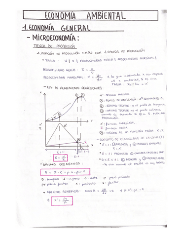 Formulario.pdf