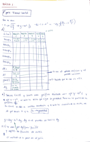 practicas-fisica.pdf