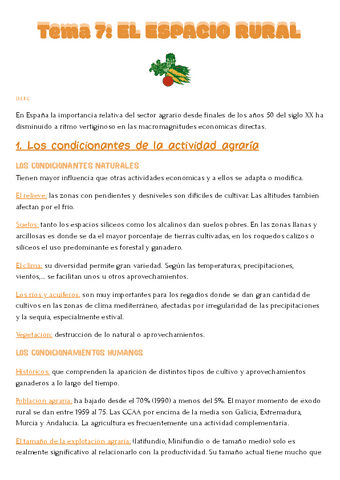 T.7-espacio-rural.pdf