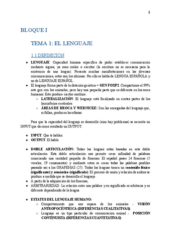 Historia-linguistica-Apuntes.pdf