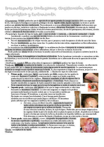 3.-Traumatismos.-Contusiones.-Clasificacion-clinica-diagnostico-y-tratamiento.pdf